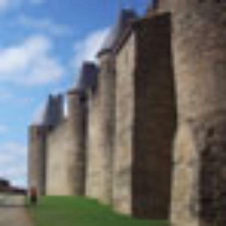 Carter's Coffee & Sandwich Bar